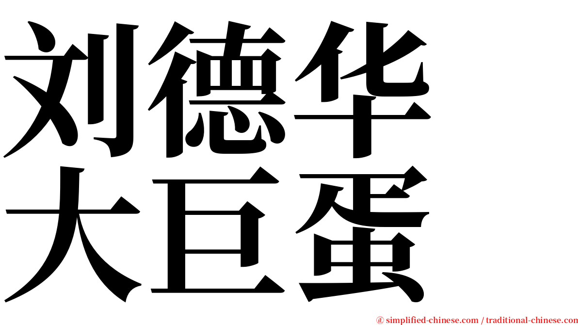 刘德华　大巨蛋 serif font